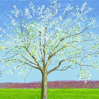 #1 FLORAL DÜŞLER – görsel 2