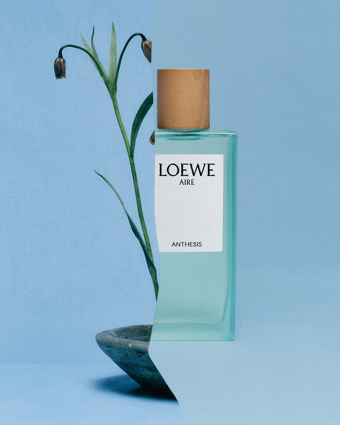 Çağdaş, Zamansız Bir Zanaat: LOEWE – görsel 1